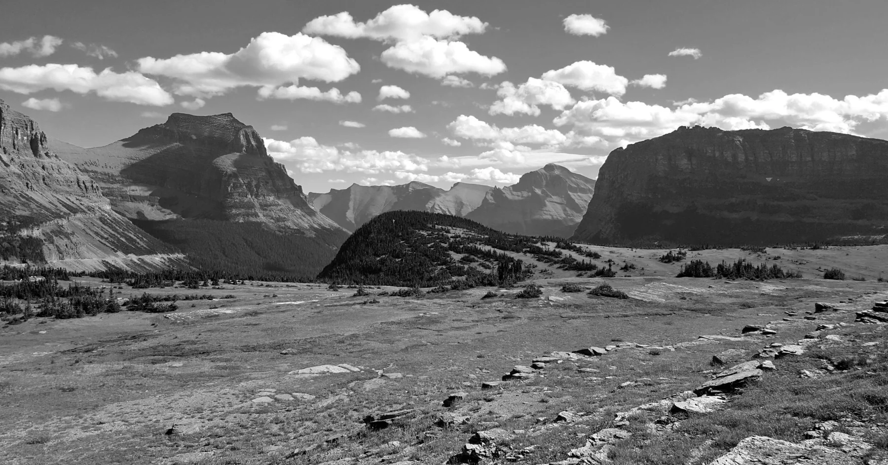 Montana’s mountain peaks and evergreen forests
